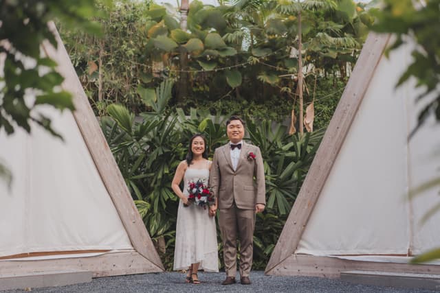 Wedding photo 5